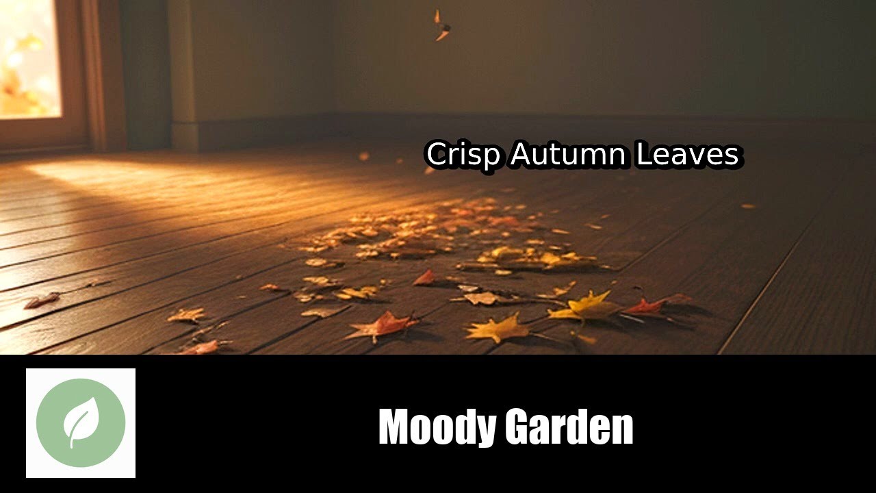 🌿 Moody Garden &ndash; Relaxing Music for Stress Relief & Meditation