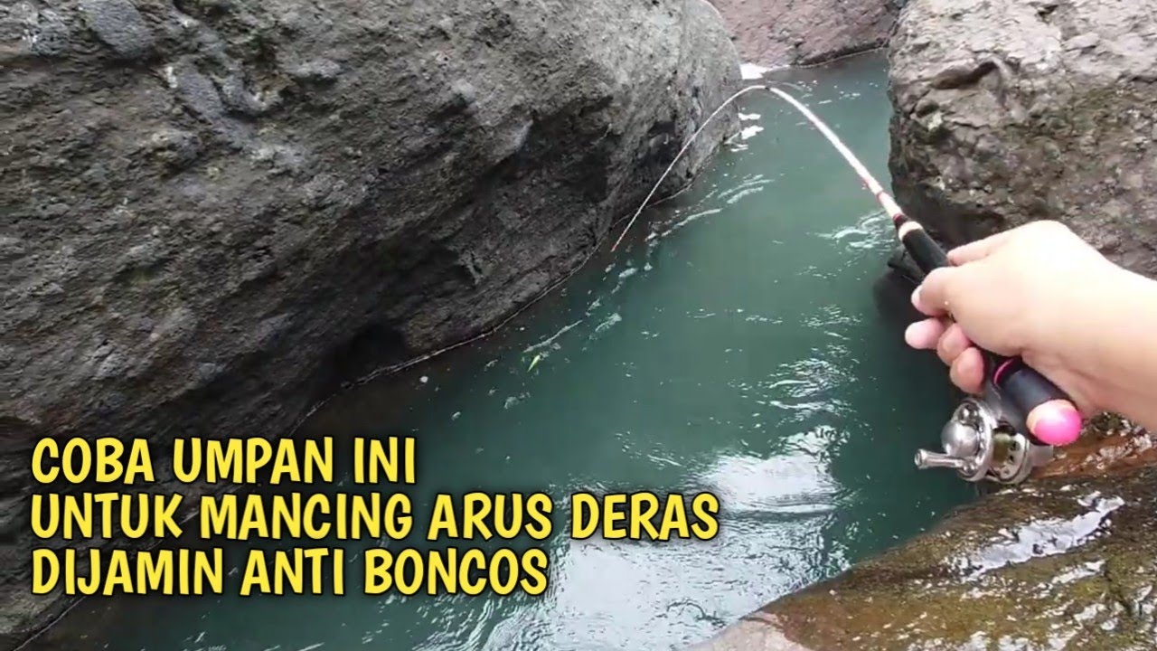 Mancing wader pakai umpan yang sudah teruji jitu!! Mancing wader arus deras teknik kumbul