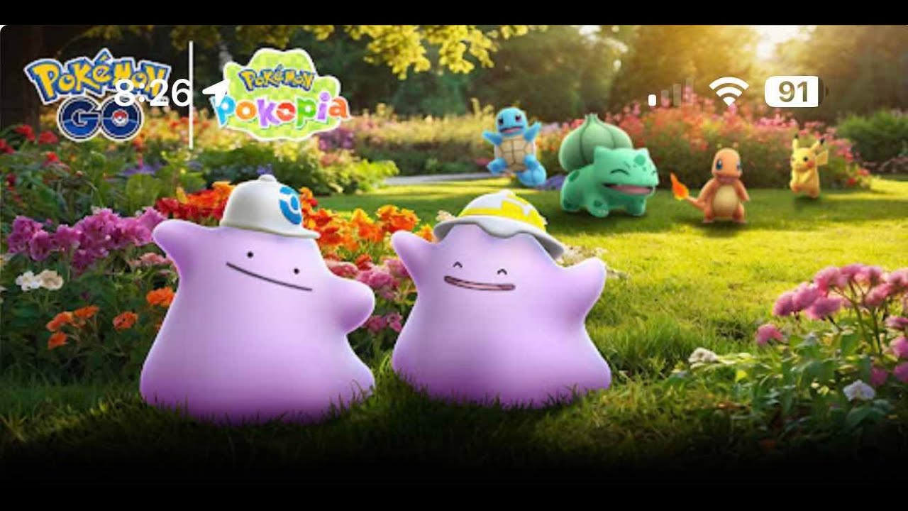 Pokémon go pokopia celebration event hunting for that shiny costume ditto😆