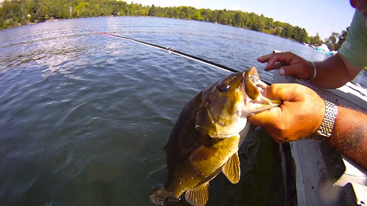 Saugeen Bass | Ontario