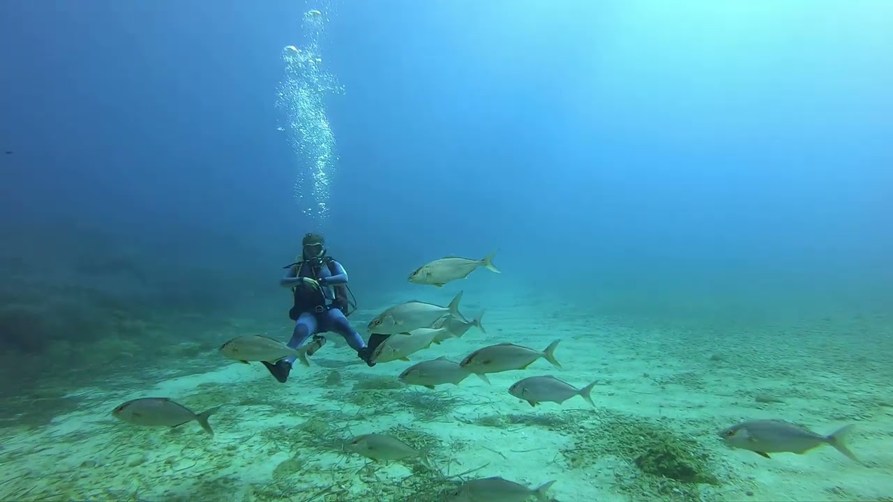 Treasure of Diving at the Wonderful Sardinia