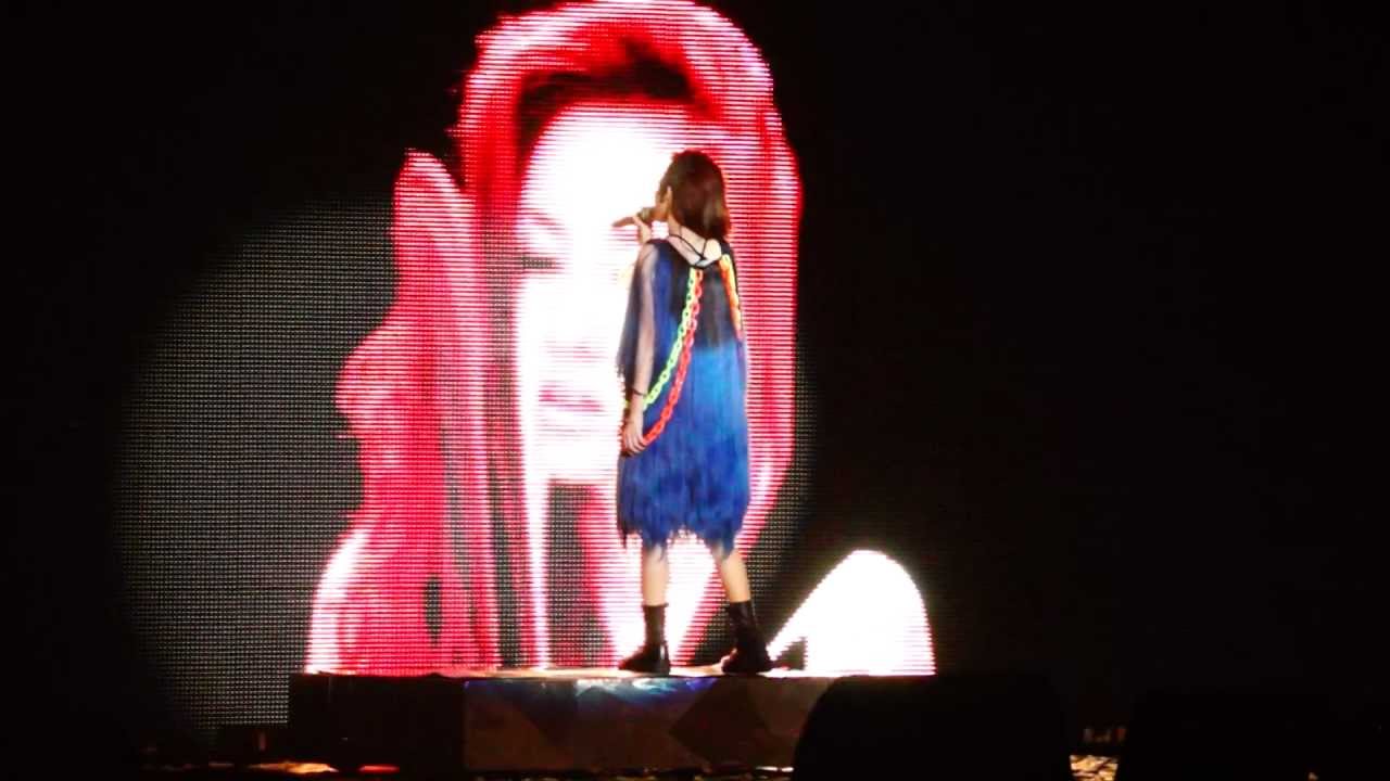 2ne1 Ugly Live (New Evolution Tour) HD