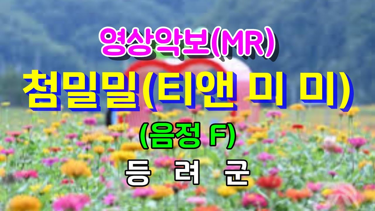첨밀밀(티앤 미 미)/F 등려군 영상악보