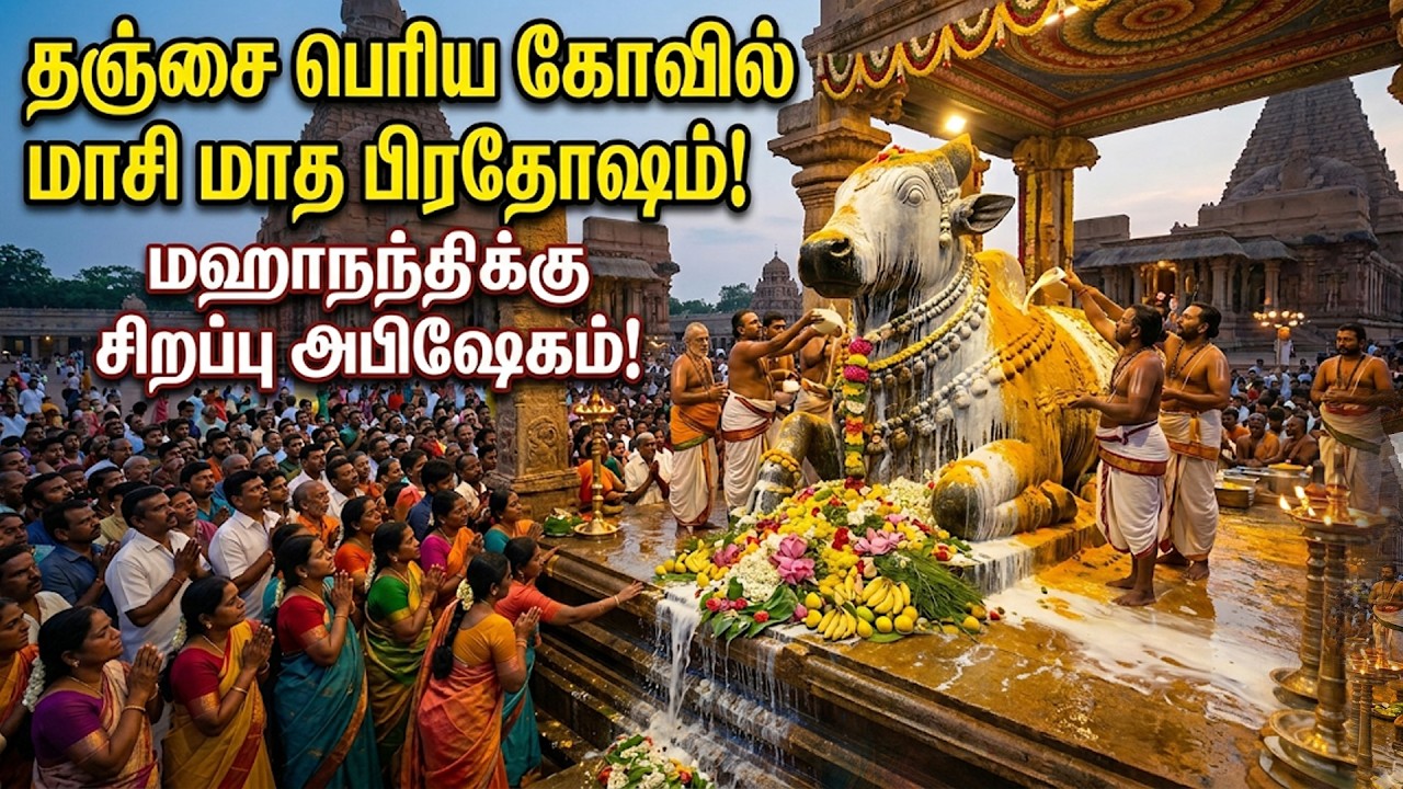 தஞ்சை பெருவுடையார் கோயிலில் மாசி மாத பிரதோஷ சிறப்பு அபிஷேகம்! |  Peruvudaiyar Temple | thanjavur