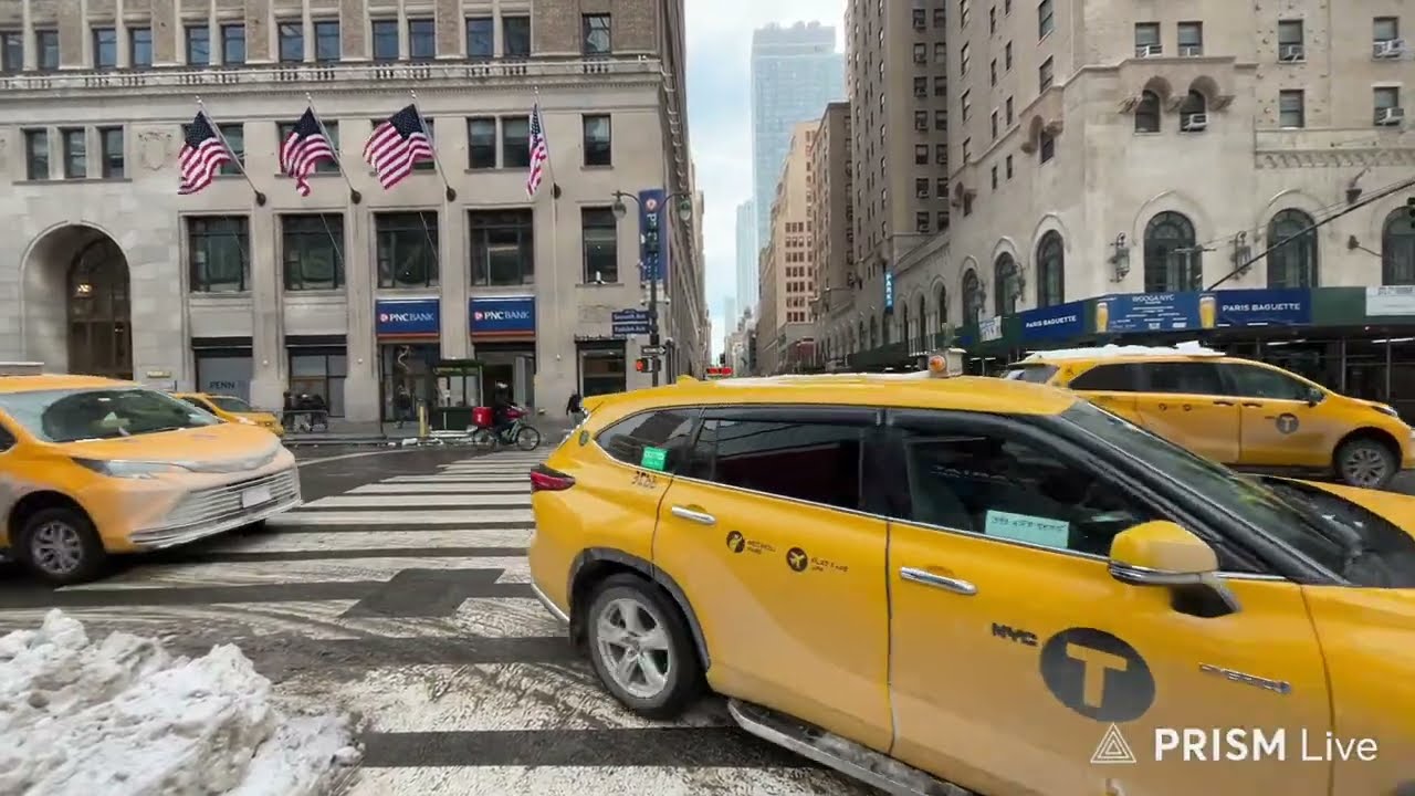 LIVE IN NEW YORK CITY MANHATTAN