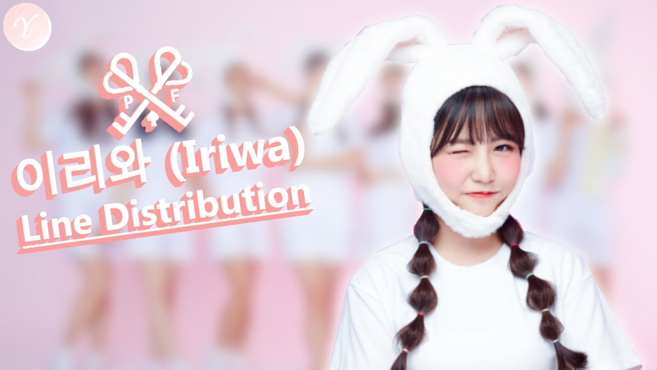 Pink Fantasy - Iriwa || Line distribution (Color coded)