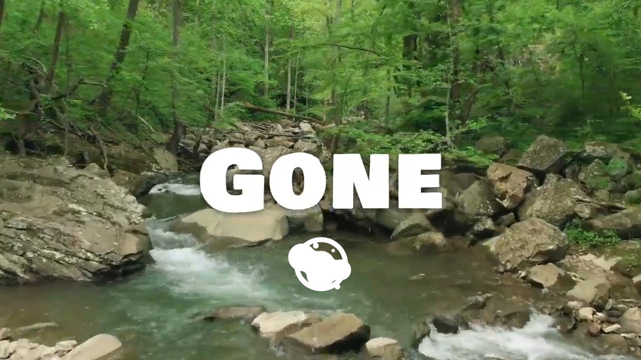 Harris Heller - Gone | StreamBeats | Electro Mixed