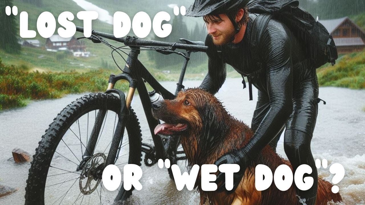 MTB in Spain VLOG | Joker and Wet Dog! | Sierra Nevada
