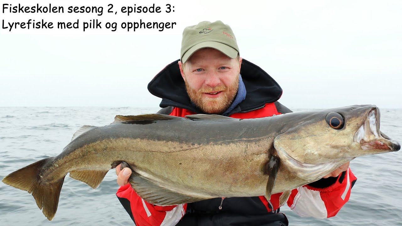 Fiskeskolen sesong 2, episode 3: Lyrefiske med pilk og opphenger