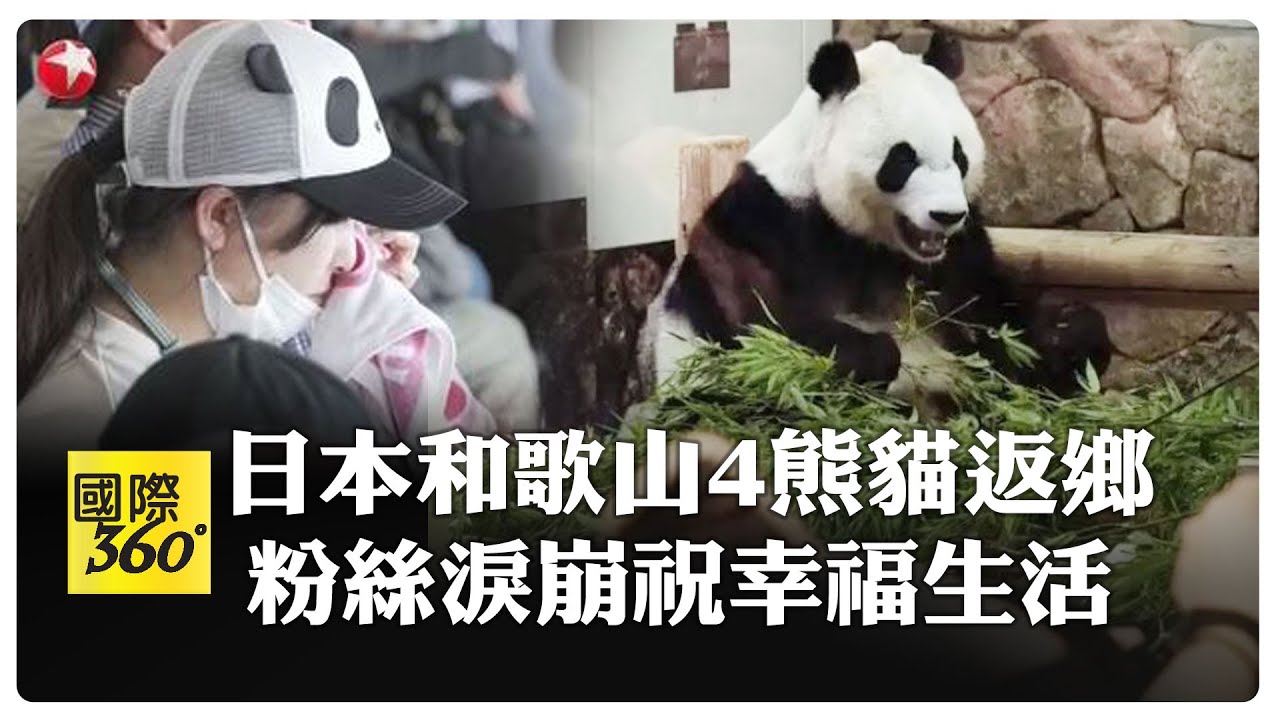 日本4熊貓返回大陸 日粉絲一早赴園區送行: