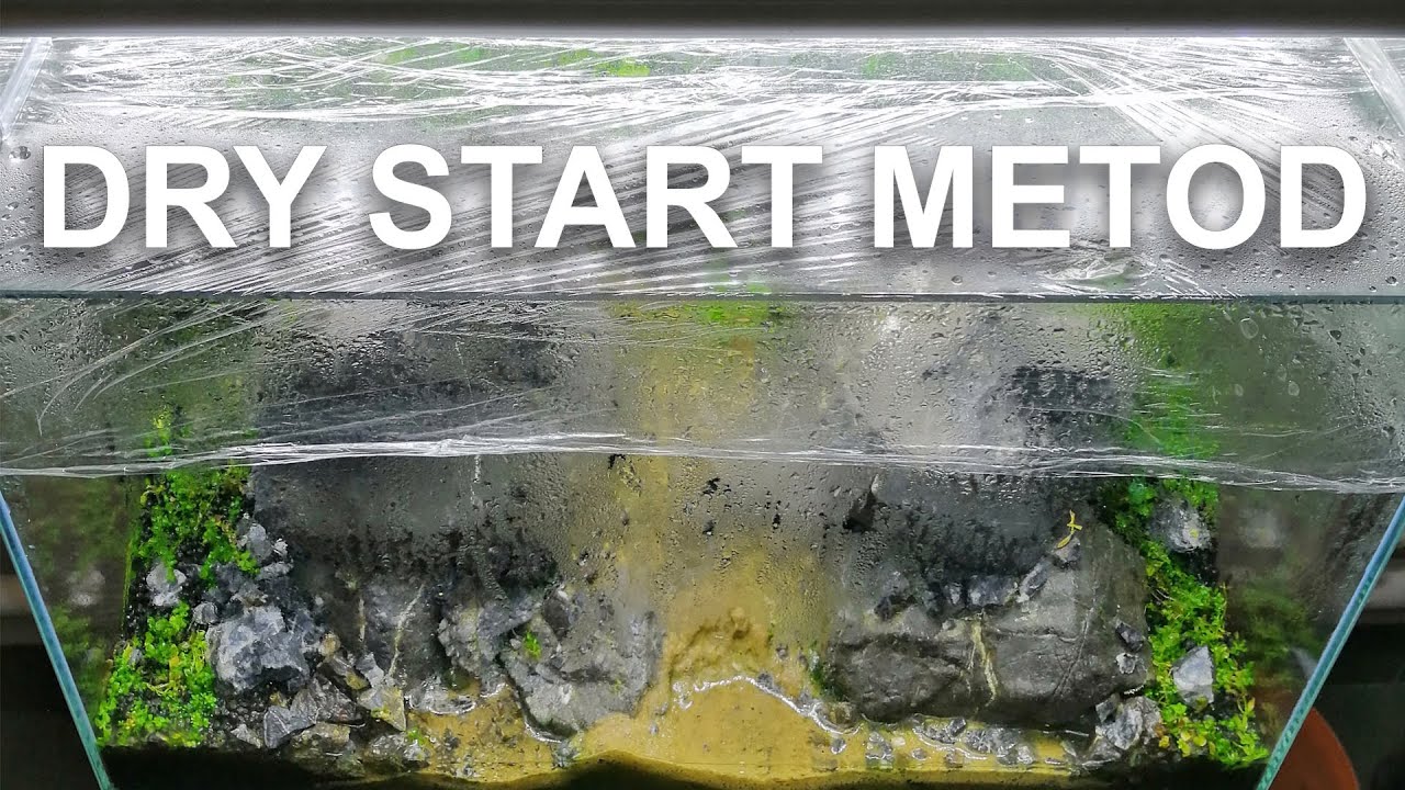 86. Zakładam akwarium metodą suchego startu | dry start method (DSM)