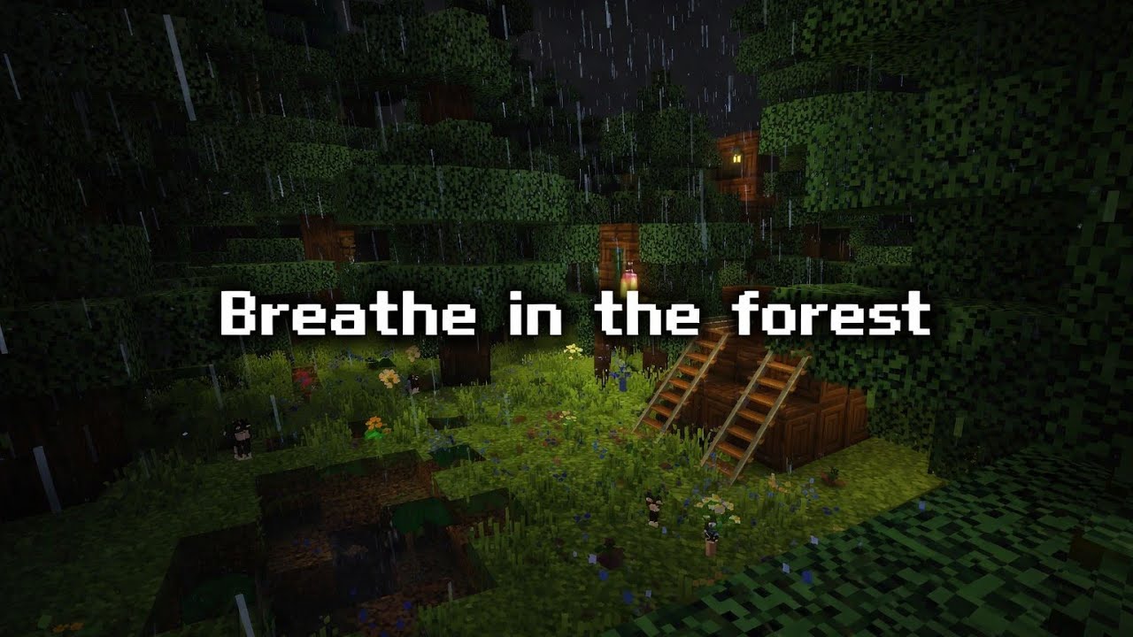 Breathe in the Forest 🌲 | Minecraft Relaxation & Calm 🌑