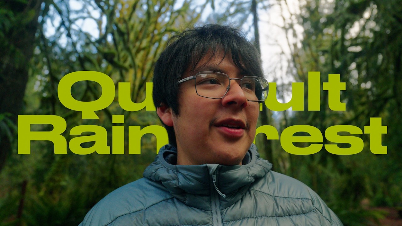 Exploring Olympic National Park | Quinault Rainforest