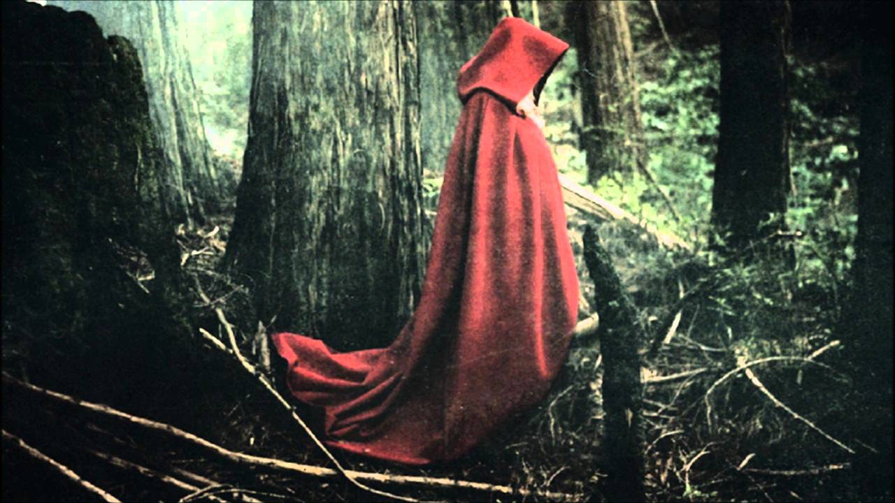 Linda Swallow - Alone In The Dark Forest