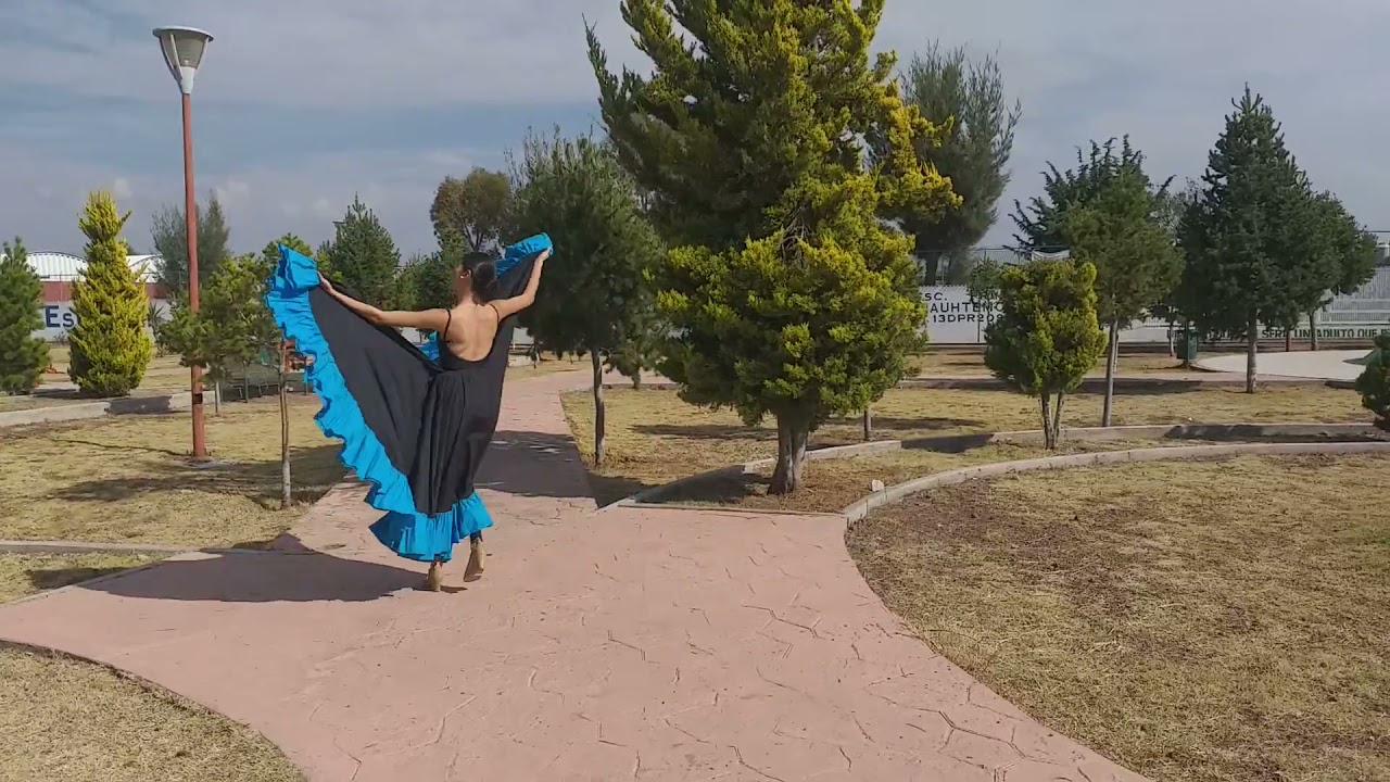 El son de la negra, Hidalgo Folkl&oacute;rico Danza🇲🇽.