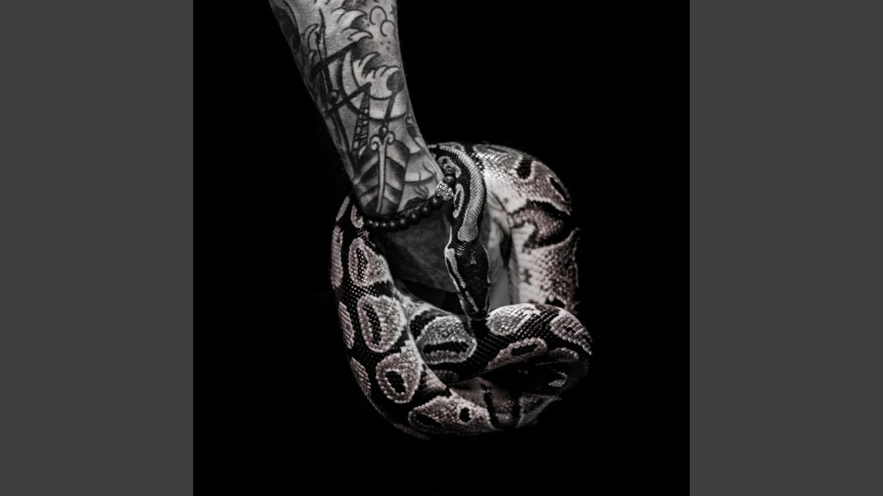 Serpent's Kiss (Alt Rock)