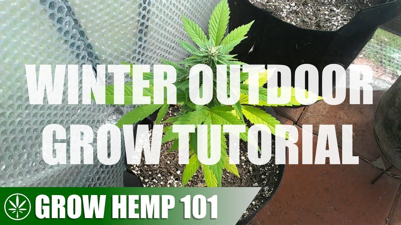 Outdoor Off Season Timelapse Grow