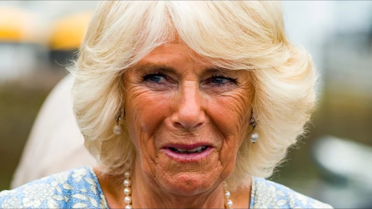 Inside William And Harry's Complicated Relationship With Queen Consort Camilla Parker Bowles