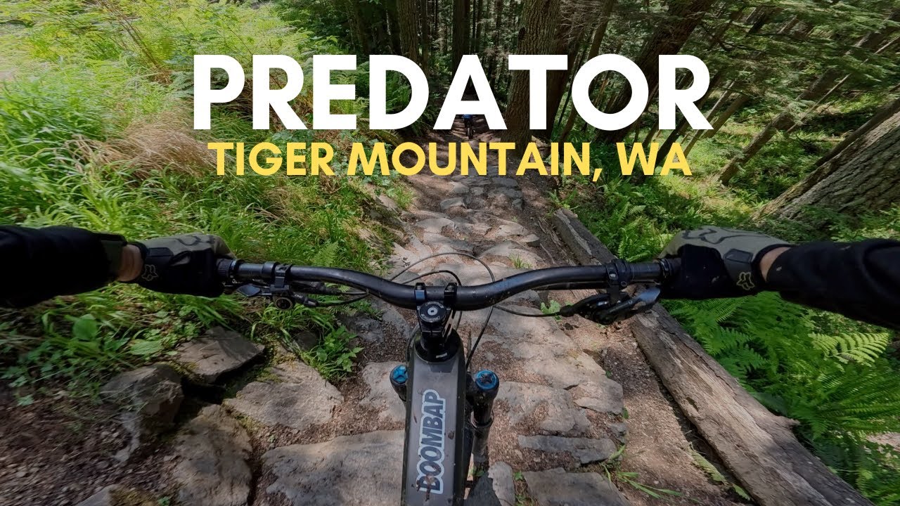 Predator - Double black MTB on Tiger Mountain, WA