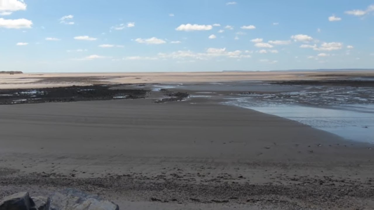 Foraged Wild Welsh Estuary Catch and Cook with Craig Evans