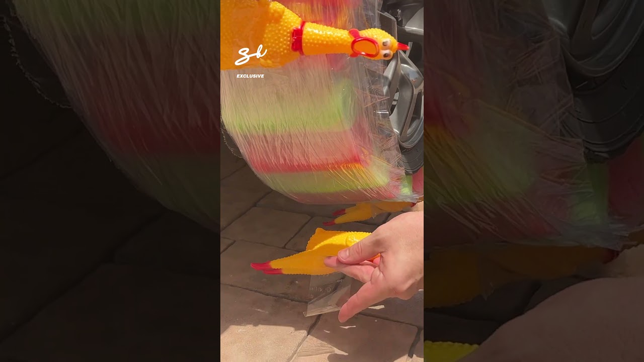These rubber chicken tires are eggstremely hilarious! 🤣🐔 #tires #car #chicken