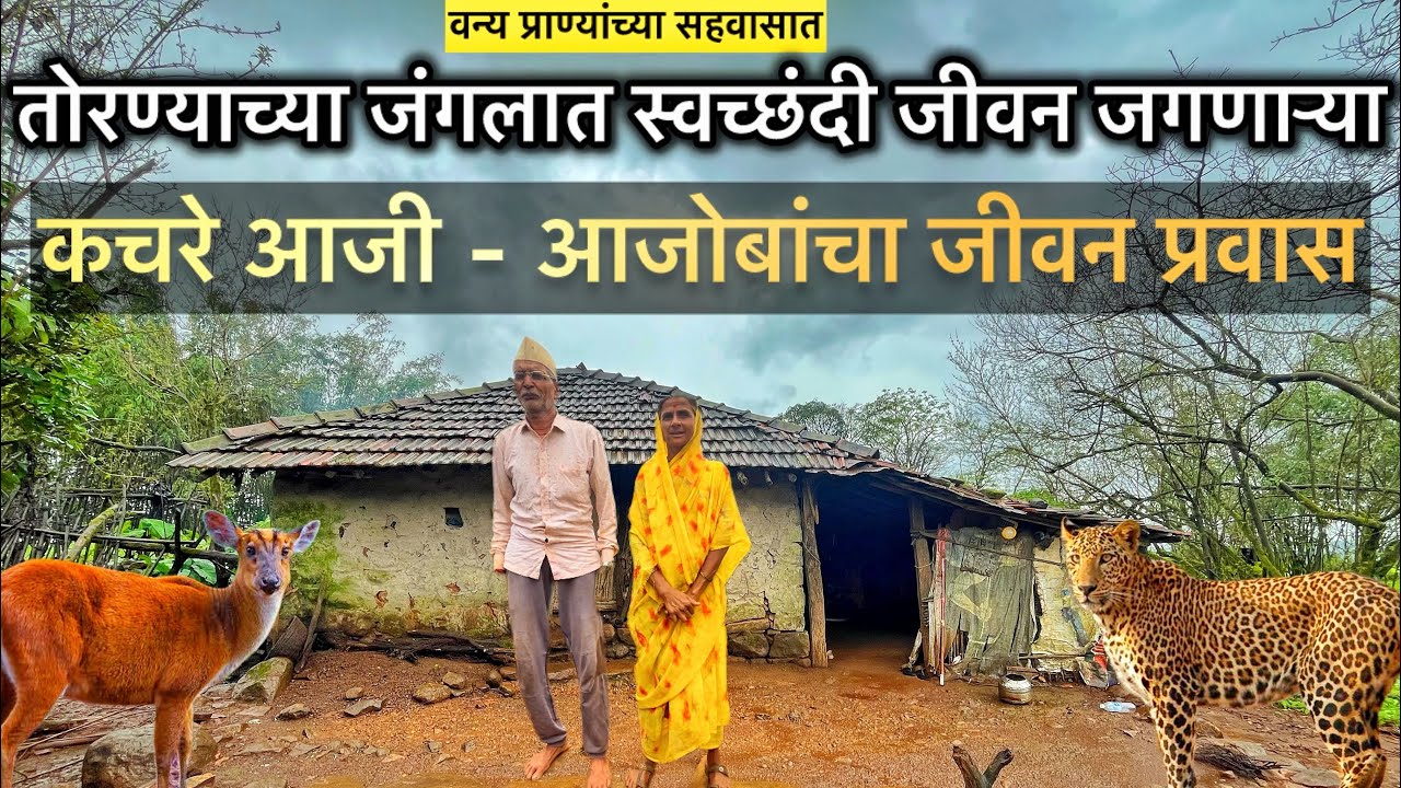 तोरण गडाच्या जंगलात 🌳🛖दोघेच राहणाऱ्या कचरे आजी आजोबांचा संपुर्ण जीवनप्रवास वर्णन 🐆🦌