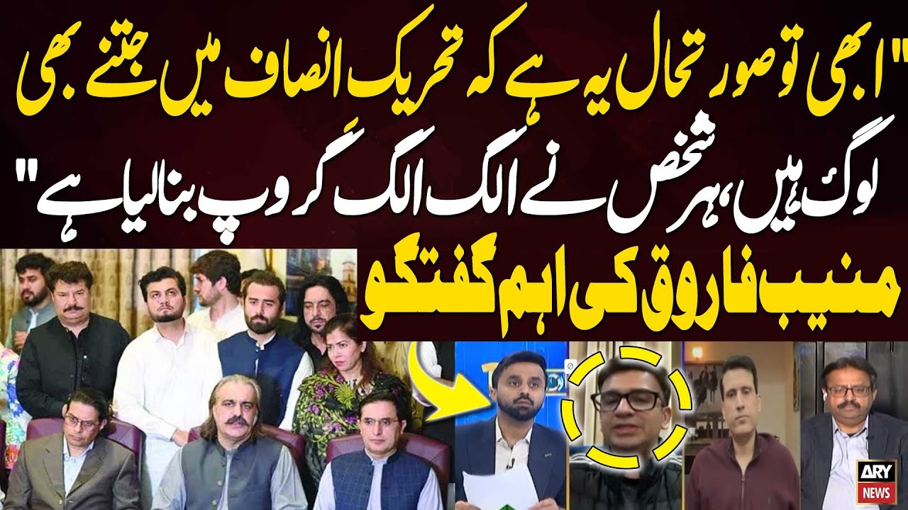 Currently, Everyone in PTI Has Formed Their Own Separate Groups - Muneeb Farooq Statement