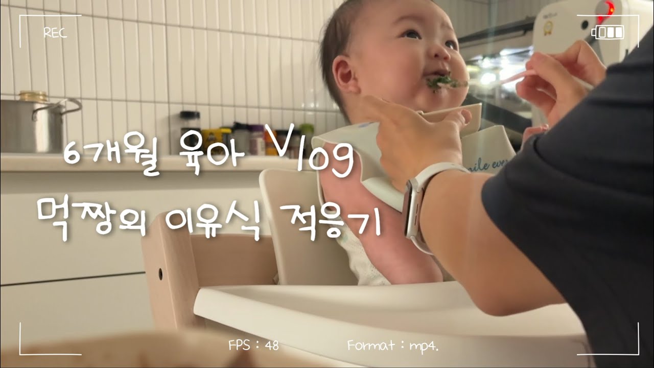 6개월 초기이유식 시작, 이유식 적응기 6개월 육아 브이로그 