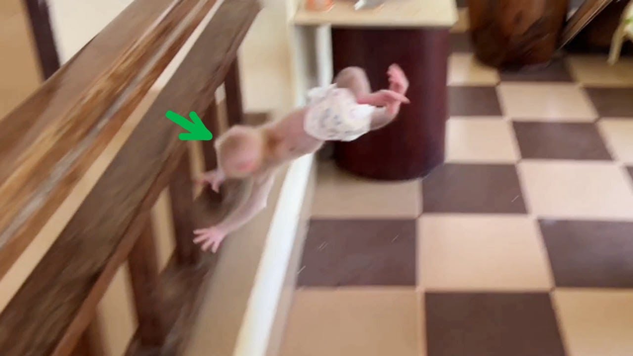 Can't Believe Pavpav Small But Really Brave B0y To Jump From High Place