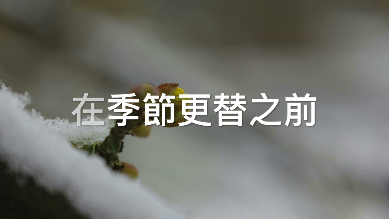 CEFCSB 詩班 應許之歌 Hymn of Promise