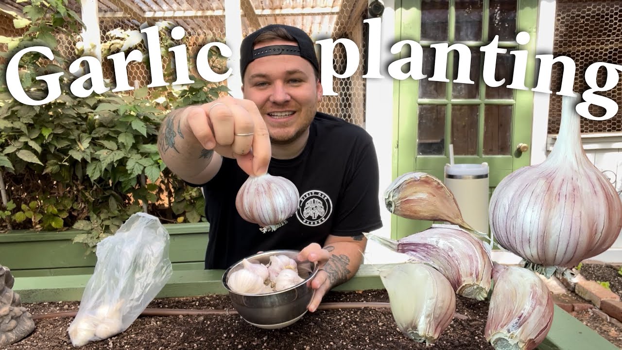 Let's Plant Garlic & Process Some for Winter! 🧄 || Visit Our Garden