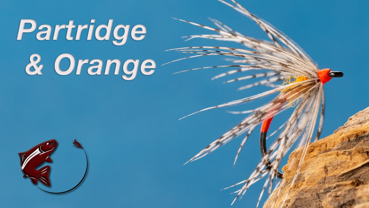 Partridge and Orange