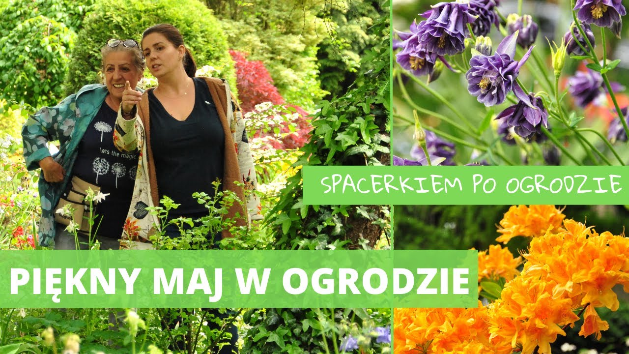 PIĘKNY MAJ W OGRODZIE