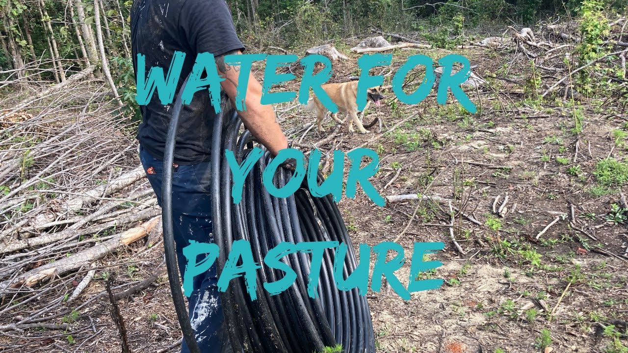 Pasture Water: Getting Good Water for Rotational Grazing of Cattle.