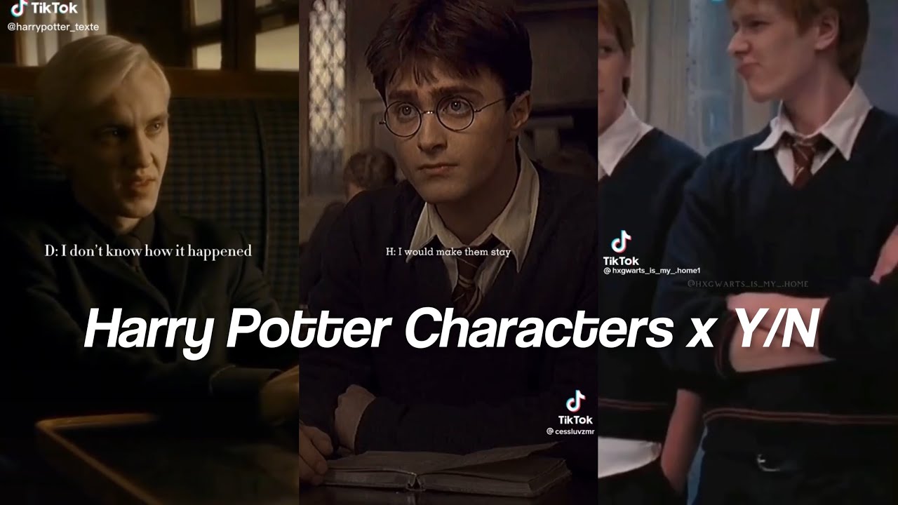 Harry Potter Characters x Y/N TikTok POV