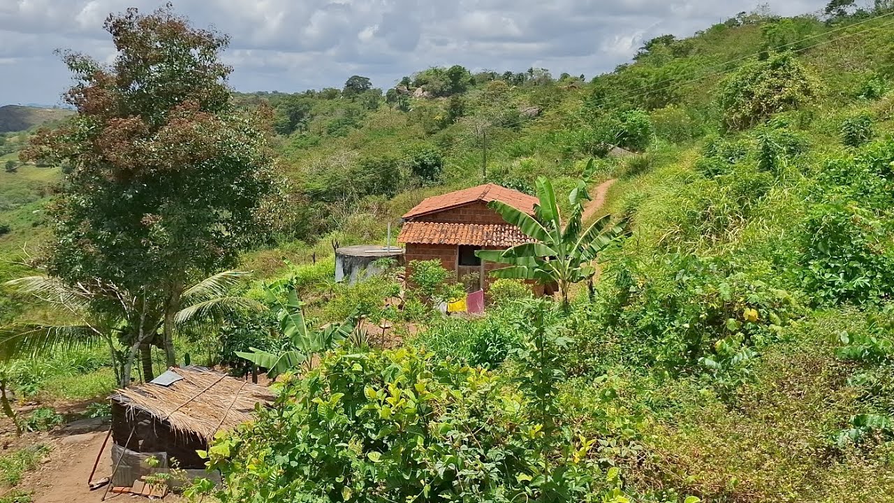 Um almoço muito simples em uma casinha simples no topo da serra ⛰️