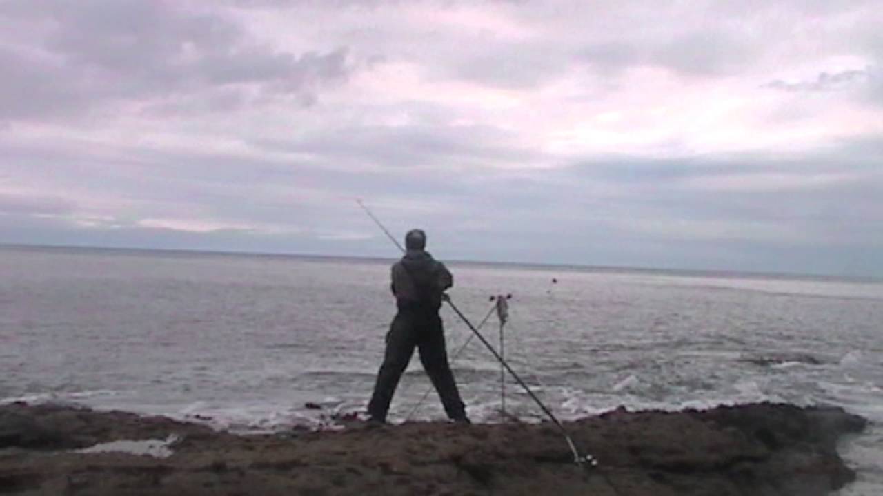 Shore Fishing in Arbroath