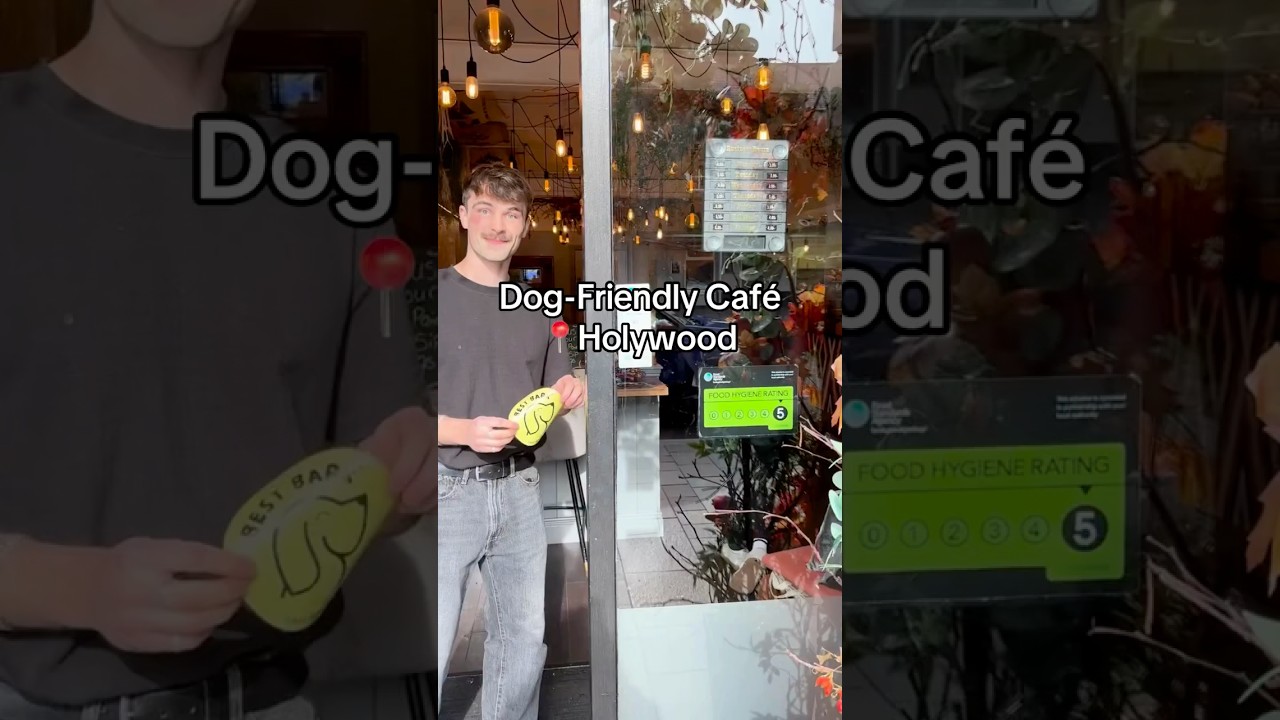 The Perfect Autumn Caf&eacute; for You & Your Dog? 🍂🐶