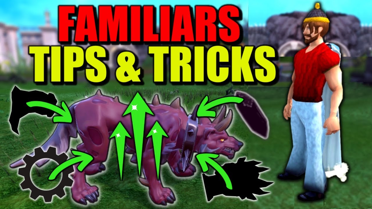 STOP Using Your Familiar Wrong In Runescape 3, TRY THIS!