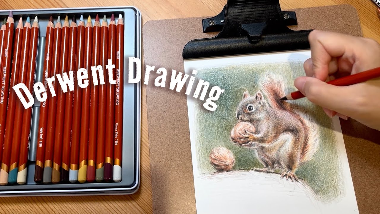Derwent Drawing 24 Colour Pencils Unboxing/Swatching/Draw a Squirrel