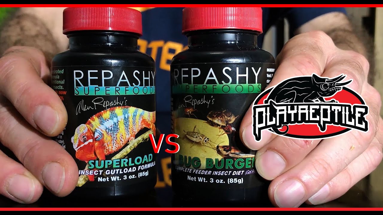 REPASHY superfood | Bug Burger VS Superload | PLAYREPTILE