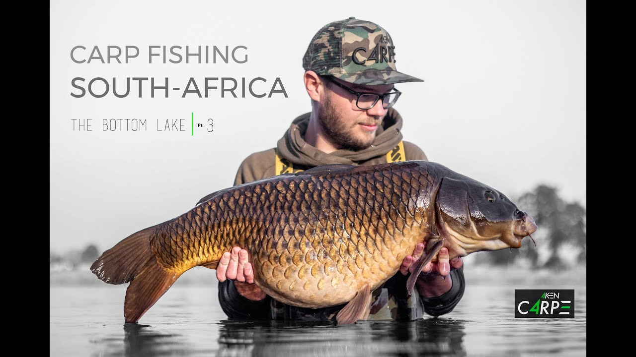 CARP FISHING SOUTH AFRICA | The Bottom Lake Pt. 3 - the 30's