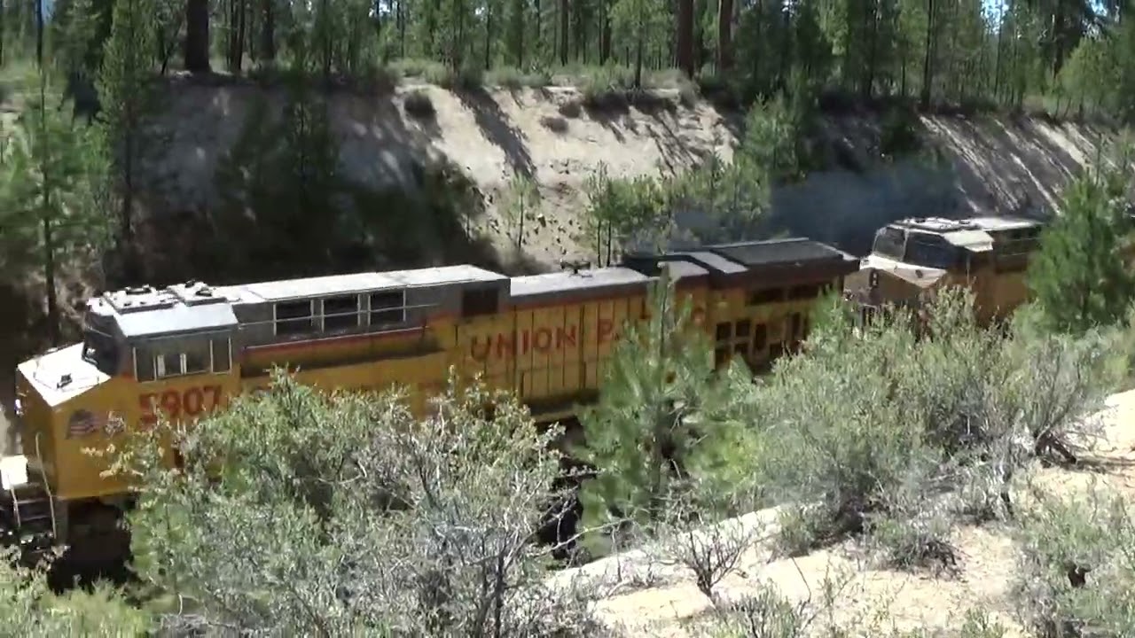 A Heavy SBD manifest cruises by