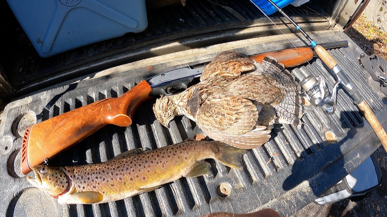 Hunt/Catch/Cook 5 day Solo Camping Northern New England