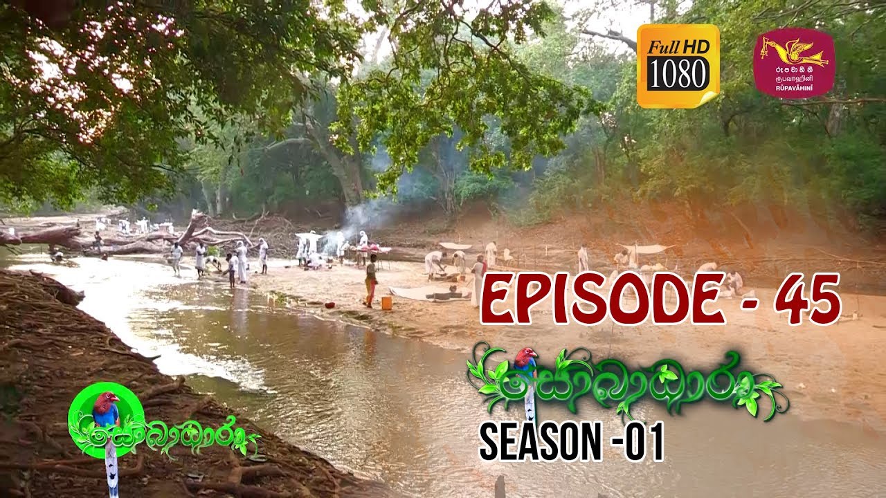 Sobadhara | Season - 01 | Episode 45 | Kebiliththa | Sobadhara Rupavahini