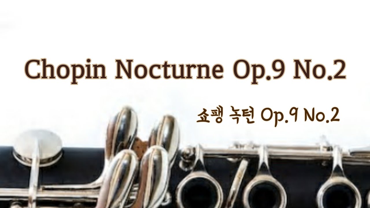 [클라리넷연주] Chopin Nocturne Op.9 No.2 쇼팽 녹턴 클라리넷 Clarinet
