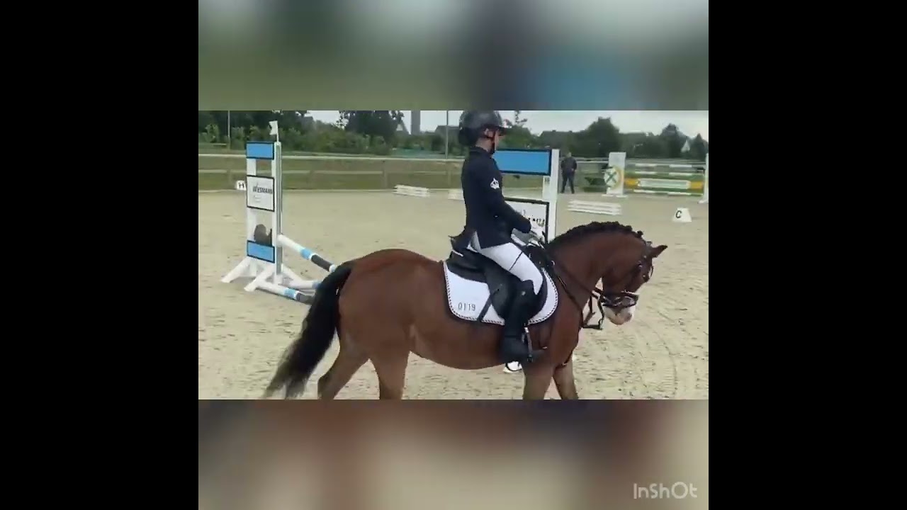 Caprilli-Test Aufgabe 1a