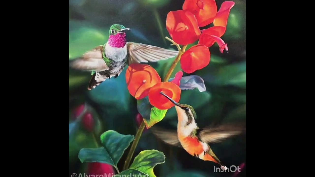 Intro to &Aacute;lvaro Miranda Wildlife Artist