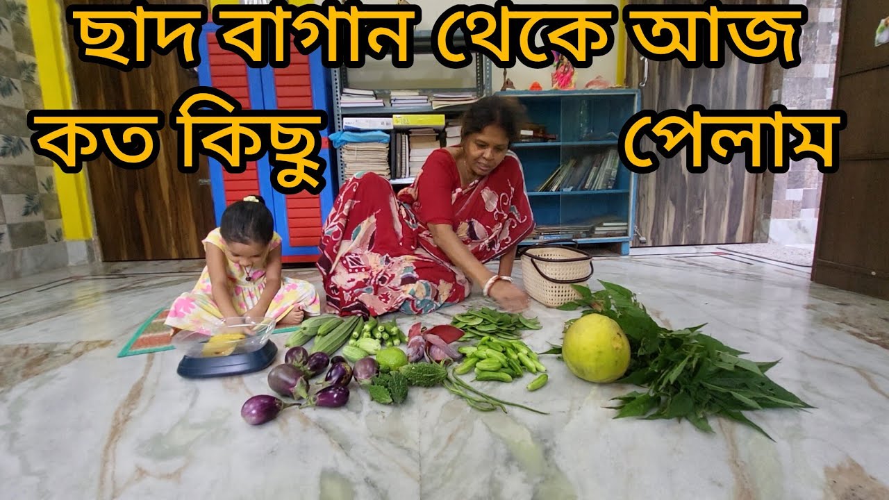 ছাদ বাগান থেকে আজ কত্ত বাজার করে আনলাম।#terracegardenindia #harvesting #organicgardening #viralvideo