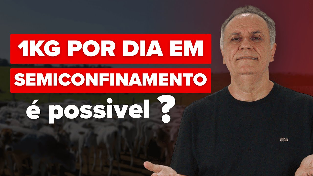 Descubra como formular na prática para semiconfinamento!